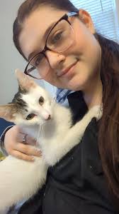 Adopting a Cat in Spokane: Nigel Needs a Forever Home