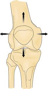 74 Patellofemoral Syndrome Clinical Gate