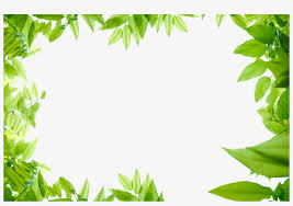 28 Collection Of Jungle Leaves Clipart Png 1600x1051 Png Download Pngkit Download 24,070 jungle leaves free vectors. 28 collection of jungle leaves clipart