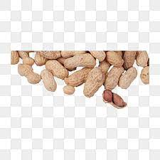 Many Peanuts Png Free Peanut Clipart Many Peanuts Peanuts Png Transparent Clipart Image And Psd File For Free Download Watercolor Flower Background Gold Glitter Background Prints For Sale