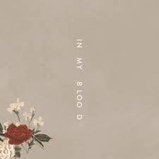 Find shawn mendes shawn mendes full album lyrics from lyrics007.com. Shawn Mendes Shawn Mendes Lyrics And Tracklist Genius