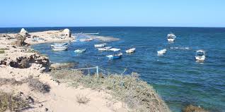 The #1 best value of 126 places to stay in tunis. Migration Aus Tunesien Die Junge Generation Geht Taz De