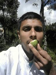 Jackfruit harvested one week before maturity, still yummy