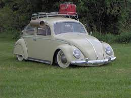 Pin On Beetles