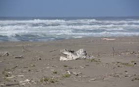 Mike Thompson Wildlife Area South Spit Humboldt Bay Loleta Ca California Beaches