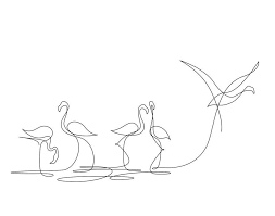 Artistica Dibujos De Un Solo Trazo