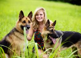 Dogs German Shepherd Dpgs Dog Training Near Me Personal Protection Dog Dog Clinic