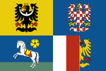 Liten bild av en flagga med skugga. Tjeckiens Flagga Wikipedia