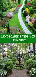 600x474 enchanting easy landscape drawings for beginners on architecture. Landscaping Tips For Beginners Landscape Ideas Tips