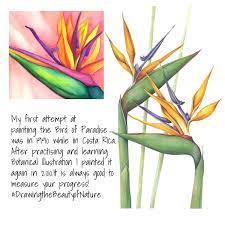 Are You Letting Your Inner Perfectionist Ruin Your Art Online Art Classes Fungi Art Nature Art