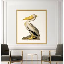 Owner tomy derouen, 54, of new iberia, shut down the restaurant and bar may 8. Bayou Breeze Audubon S White Pelican In Gold By John Audubon Picture Frame Graphic Art Print On Paper Wayfair