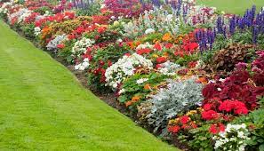 We did not find results for: How To Pick Flowers