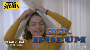 Yarali Kuslar 22 Bolum Fragman Analiz Ozeti Ve Tahminleri Youtube Videolar Izleme