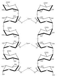 Check spelling or type a new query. Plant Cell Wall Polymers Function Structure And Biological Activity Of Their Derivatives Intechopen