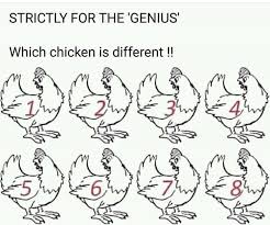 If you fail, then bless your heart. Spot The Difference Chickens What The Daily Wtf