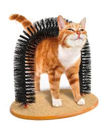 Purrfect Arch Kedi Tirmalama Ve Kasinma Tahtasi Cat Brushing Cat Grooming Cat Pet Supplies