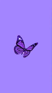 Aesthetic pastel wallpaper aesthetic backgrounds aesthetic wallpapers pink retro wallpaper. Purple Butterfly Wallpaper In 2020 Purple Butterfly In 2021 Butterfly Wallpaper Iphone Purple Wallpaper Iphone Purple Butterfly Wallpaper
