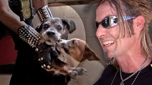 "The rats are EVERYWHERE!!" #BillyTheExterminator