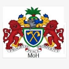 B) someone who you can always rely on; Ministry Of Health Gambia Mohgambia Twitter