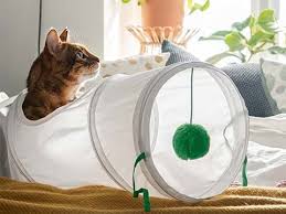 Who can forget the joy of discovering cinnamon toast as a kid? A Cat Poking His Head Out Of A Lurvig Play Tunnel Cats Breakfast Salad Cinnamon Sugar Donuts