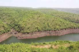 Nallamala Hills