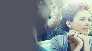 Watch The Face of Love (2013) Full Movie Free Online