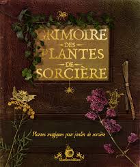 Grimoire Des Plantes De Sorciere Grimoire Sorciere Livres De Sorcellerie