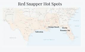 red snapper season 2019 all you need to know