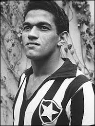 The word garrincha itself means wren. De Que Planeta Viene Garrincha Zeducando