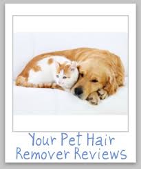 #13 gonzo pet hair lifter. Pet Hair Removers Reviews Which Products Work Best