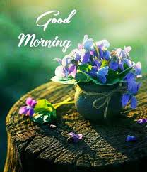 Good Morning Images Good Morning Images For Whatsapp Beautiful Good Morning Pictures Good Morning Hd Photos And Quotes 2021 Love funny quotes good morning in hindi.