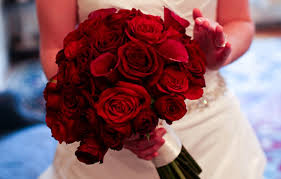 Maybe you would like to learn more about one of these? 11 Warna Bunga Mawar Beserta Maknanya Tws Florist
