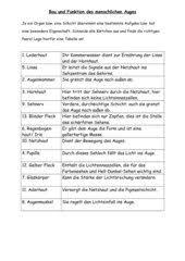 Bau Und Funktion Des Menschlichen Auges 4teachers De