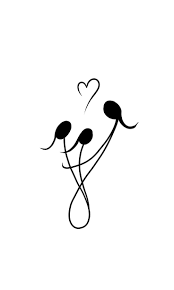 Anna Feigin (feiginanna)