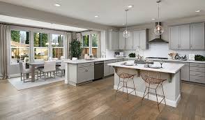 At progressive international, we continually strive to understand the needs of today's cooks. Seth Plan At Revere At Independence In Lincoln Ca By Richmond American Homes