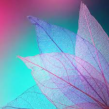 Check spelling or type a new query. Everpix On Twitter The Best Wallpapers In August Remind About Wonderful Summer Days Extend The Summer With Wallpapers From Everpix Bestwallpaper Summerwallpaper Iphonewallpaper Iphonewallpapers Background Summerbackground Everpix Iphonex