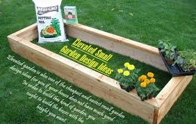 In each cup, poke a few tiny holes in the bottom of that cup. What Are Top 5 Cheap And Simple Garden Design Ideas Steemit