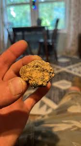 Image result for Dark Harvest Gold 1972 Fedders