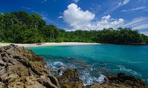 We did not find results for: 19 Tempat Wisata Di Banyuwangi Terbaru Terhits Dikunjungi West Java Com