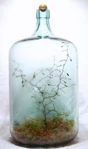The Slug And The Squirrel Miniature Garden Mini Garden Bottle Garden