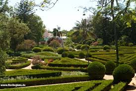 Jardim Botanico Da Ajuda Lissabon Portugal Http Www Florilegium De Blog Gaerten Botanischer Garten Von Ajuda Bei Belem Botanischer Garten Garten Lissabon