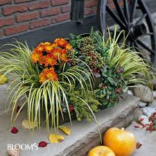 Zum Muttertag Geschenk Mit Herz Selber Machen Pflanzen Herbstbepflanzung Und Bepflanzung