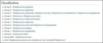 classify streptococcus bacteri on based antigens on their