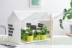Alleine zu wohnen ist nichts für sie? Diy Mini Gewachshaus Aus Holz Und Acrylglas Fur Die Wohnung Selber Bauen Gewachshaus Selber Bauen Mini Gewachshaus Gewachshaus