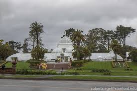 Check spelling or type a new query. San Francisco Conservatory Of Flowers 2019