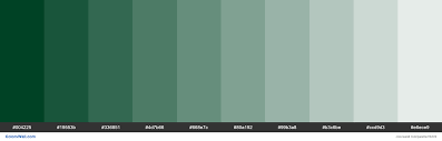Dating back almost 120 years, the colour has been used by jaguar, aston martin, mini, lotus and bentley. Tints Of British Racing Green Color 004225 Hex Hex Rgb Codes