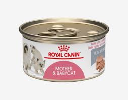 Maybe you would like to learn more about one of these? 8 Best Cat Foods 2021 The Strategist
