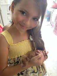 50 pics of dogs as puppies and all grown up (link in the comments))