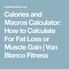 Pin On Bodybuilding Program