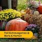 Fall Extravaganza @ Boris & Horton – November 13 event image